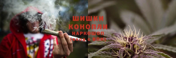 меф Арсеньев