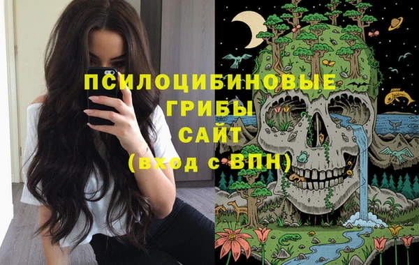 спайс Алзамай
