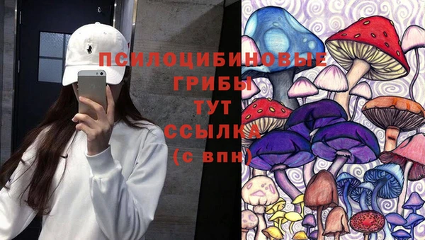 винт Армянск